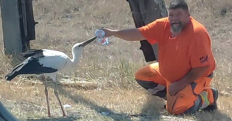 Nagy Árpád, a „gólyasuttogó” üzent nekünk