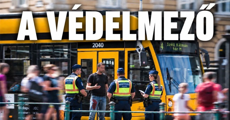 A Védelmező