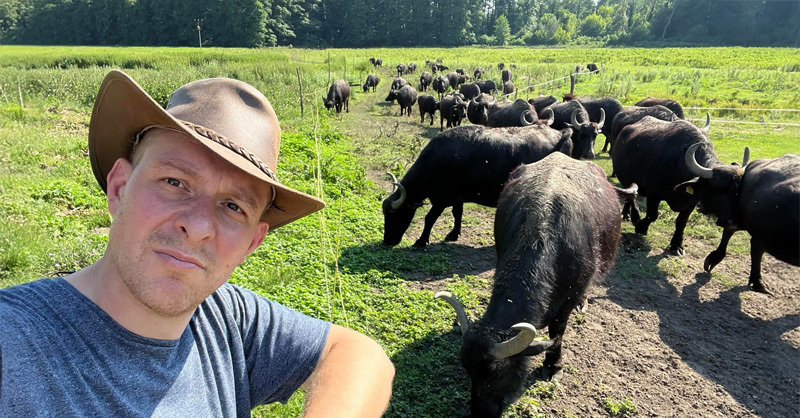 Bivalyhús kerül a billogburgerbe